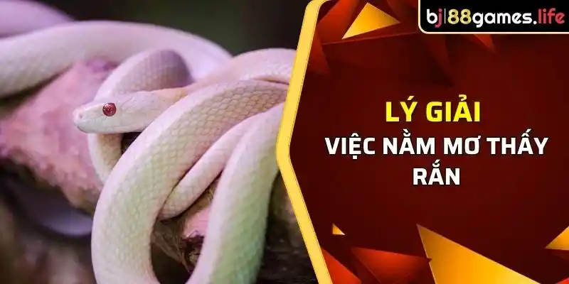 Giải Mã Giấc Mơ Thấy Rắn - Mơ Thấy Rắn Hên Hay Xui? 1 Việc nằm mơ thấy rắn trong góc nhìn nhân gian và tôn giáo