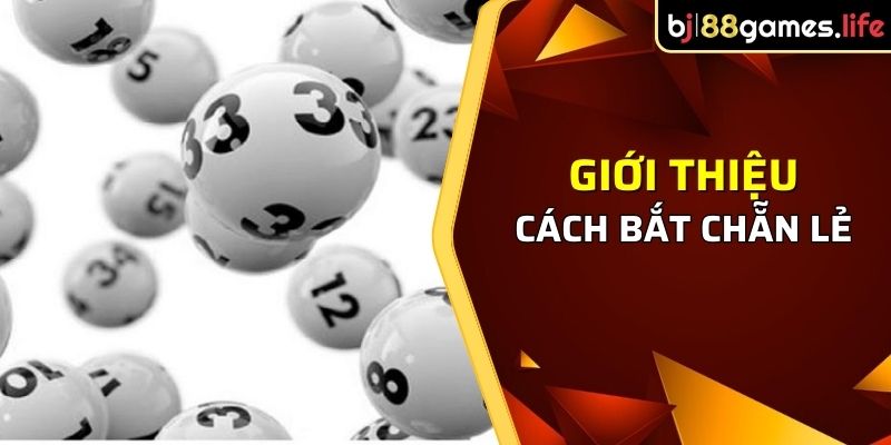 Cách Bắt Chẵn Lẻ - Phương Pháp Dễ Thực Hiện Và Hiệu Quả 1 Giới thiệu về cách bắt chẵn lẻ