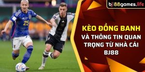 thông tin về kèo đồng banh