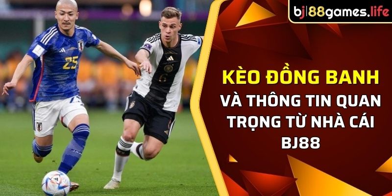 thông tin về kèo đồng banh